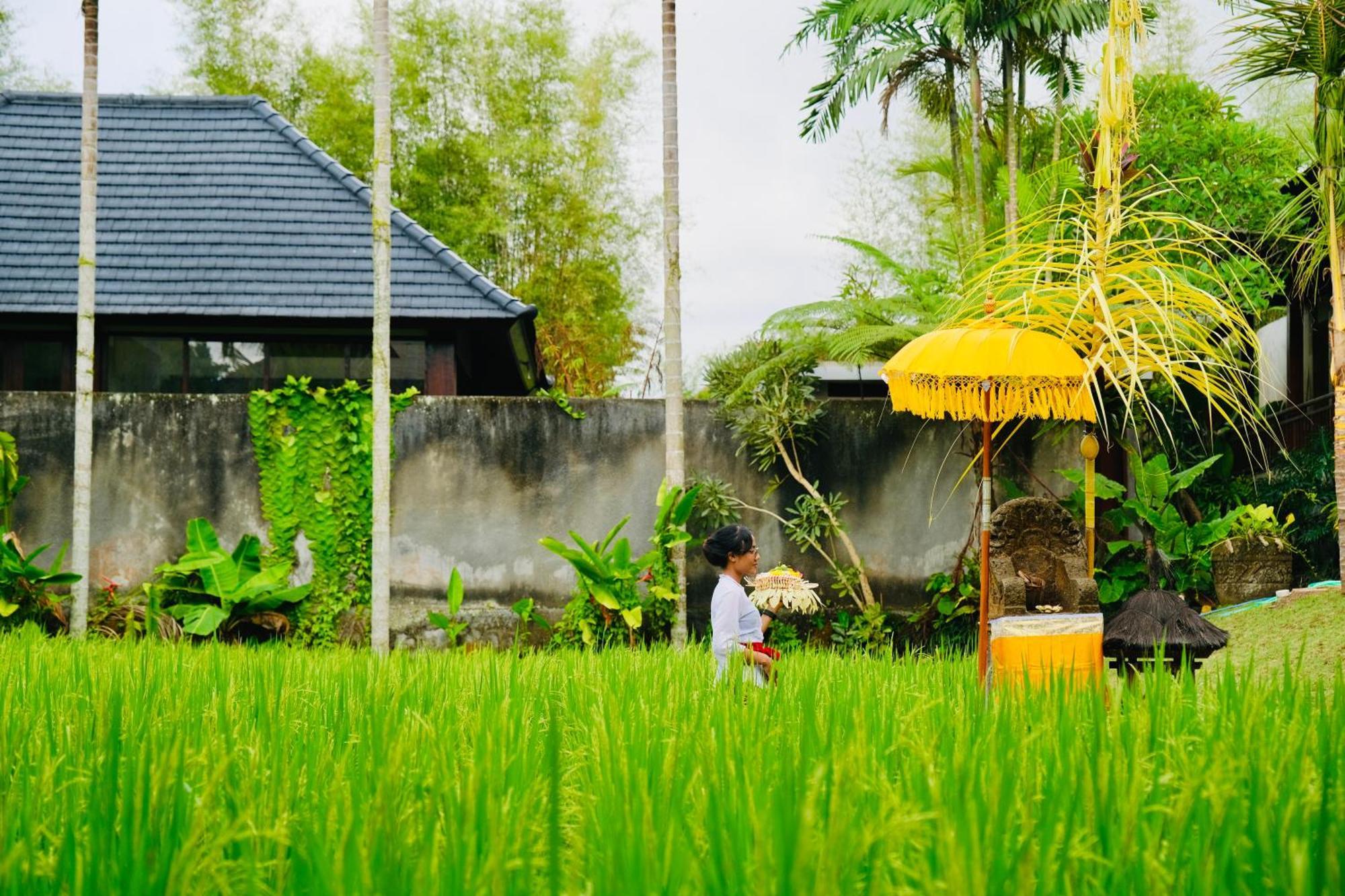 Wana Karsa The Villas Ubud Exteriér fotografie