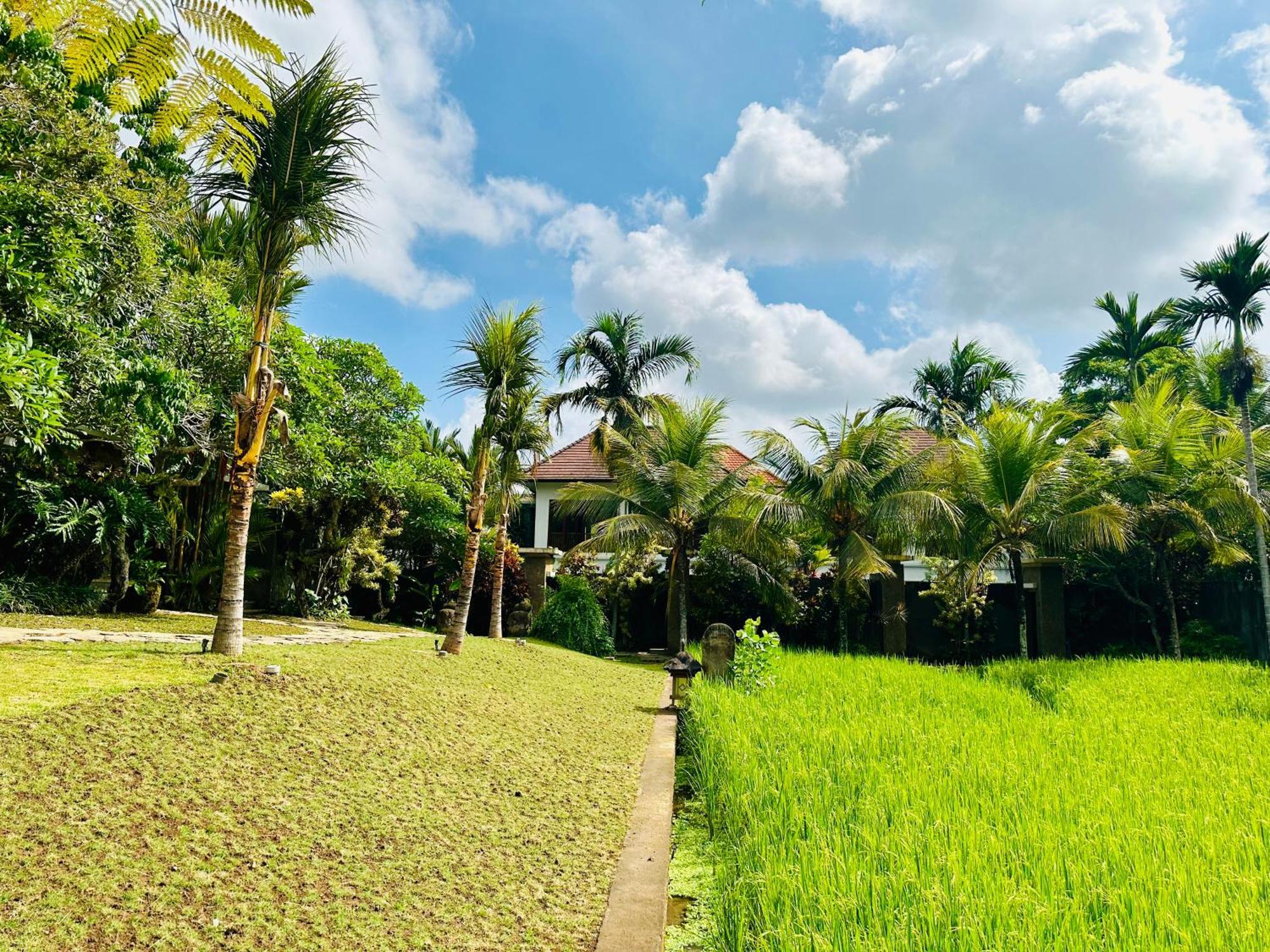 Wana Karsa The Villas Ubud Exteriér fotografie
